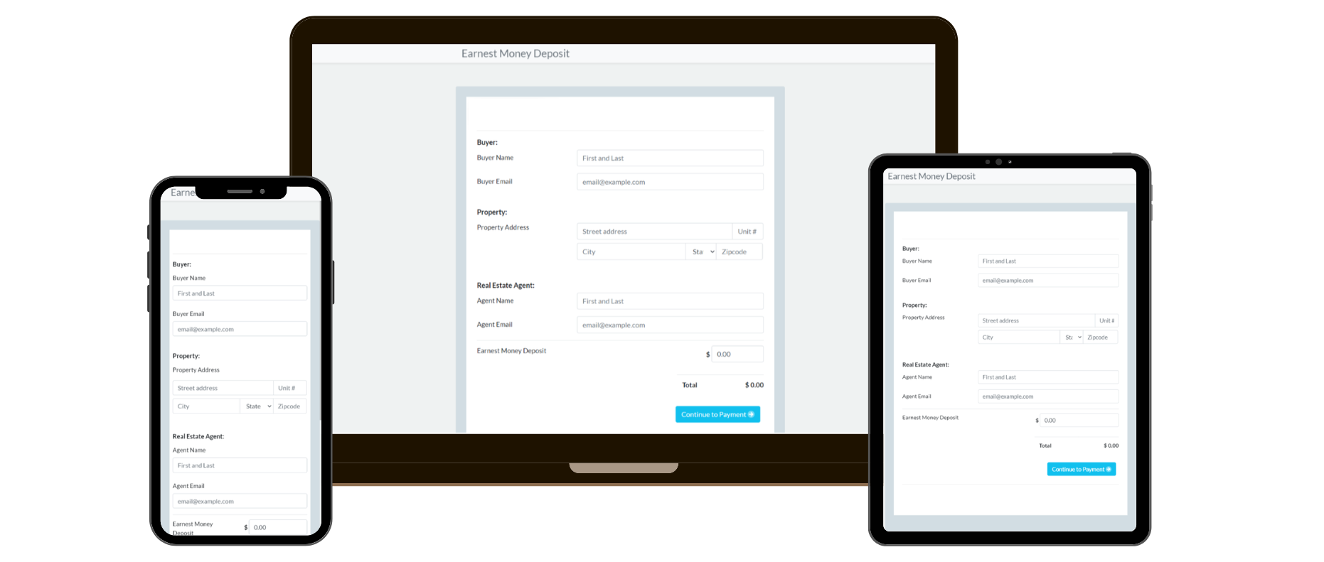 Payload Payment Screenshot